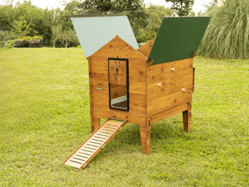 Kurín pre sliepky POLLY CLASSIC 2XL - Image 13