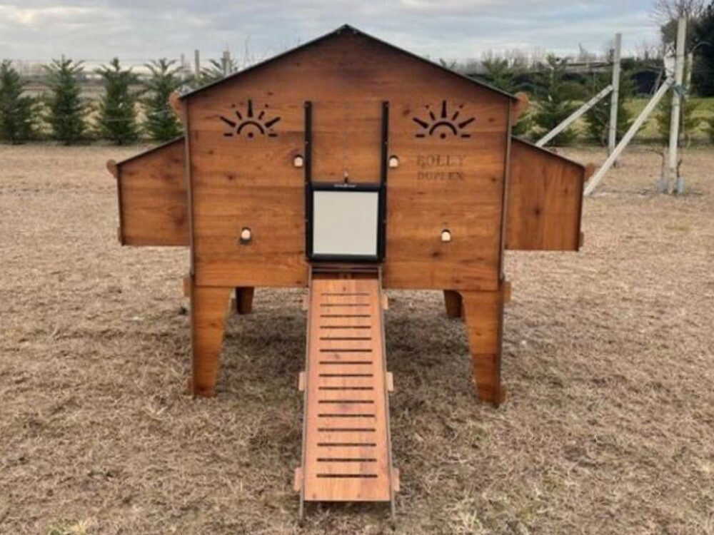 Kurín pre sliepky POLLY DUPLEX 4XL - Image 9