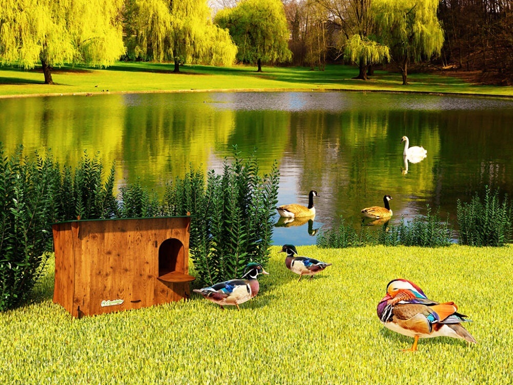 Domček pre kačky DUCKY S - Image 9