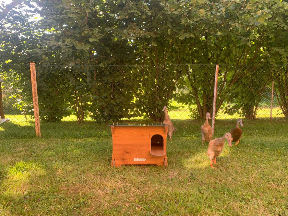 Domček pre kačky DUCKY S - Image 7