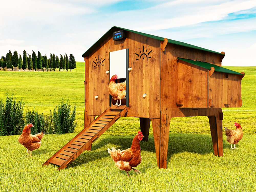 Bezpečnostné dvierka s poistkou ku kurínu CHICKEN GUARD DOOR 25x30 - Image 4