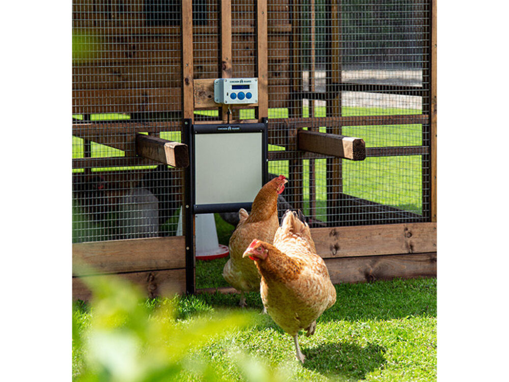 Bezpečnostné dvierka s poistkou ku kurínu CHICKEN GUARD DOOR 25x30 - Image 5