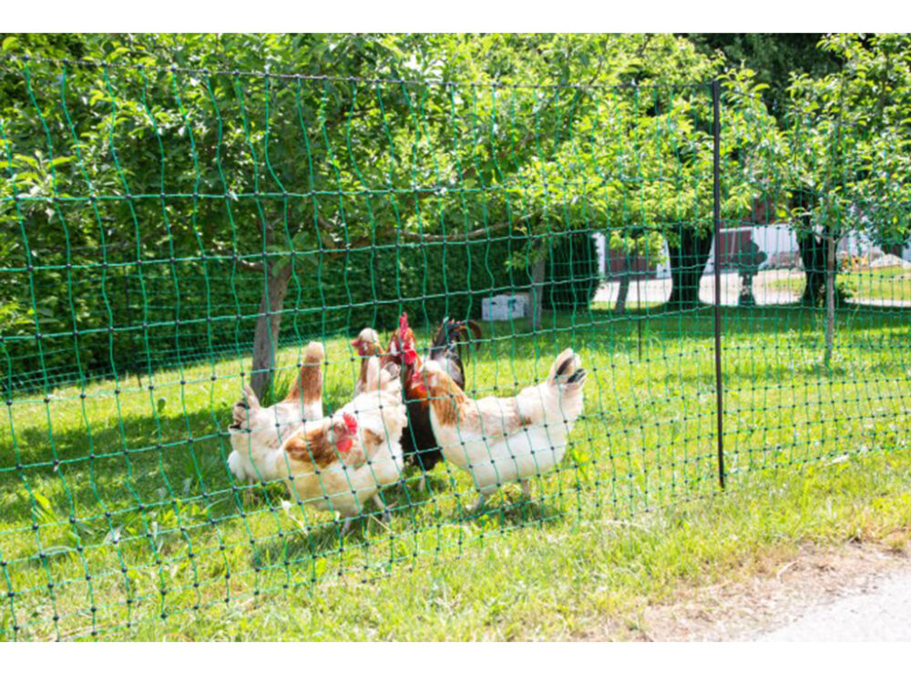 Nevodivá sieť pre hydinu KERBL 292278, 106 cm x 50 m / 2 hroty - Image 4