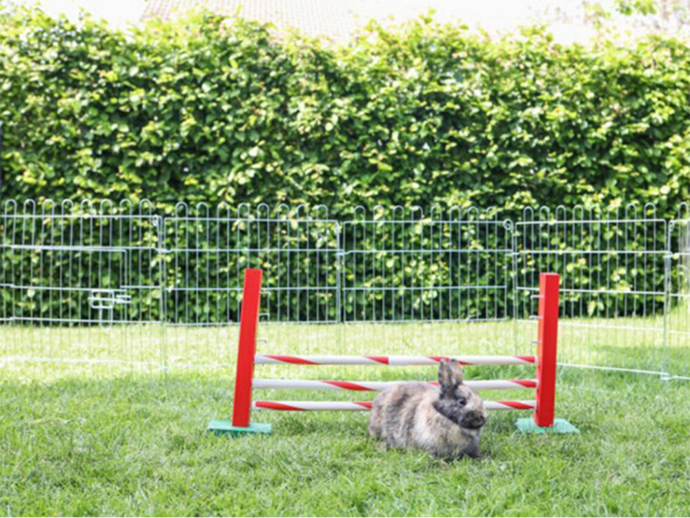 Agility stredná prekážka pre králiky a iné hlodavce KERBL 82859 UPRIGHT JUMP, 30x62cm - Image 4