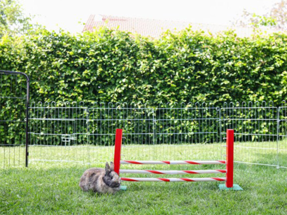 Agility stredná prekážka pre králiky a iné hlodavce KERBL 82859 UPRIGHT JUMP, 30x62cm - Image 5