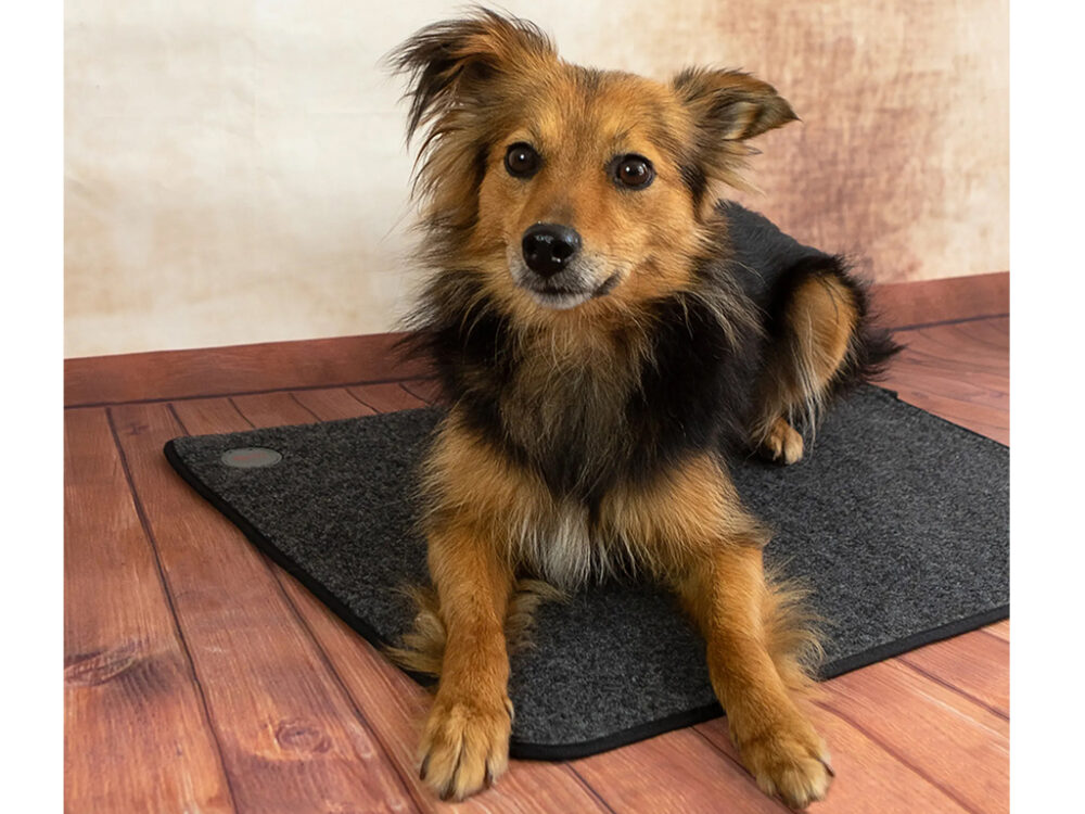 Výhrevná podložka pre psov THERMODOG 3523000 - vykurovací koberec 40x60cm - Image 2