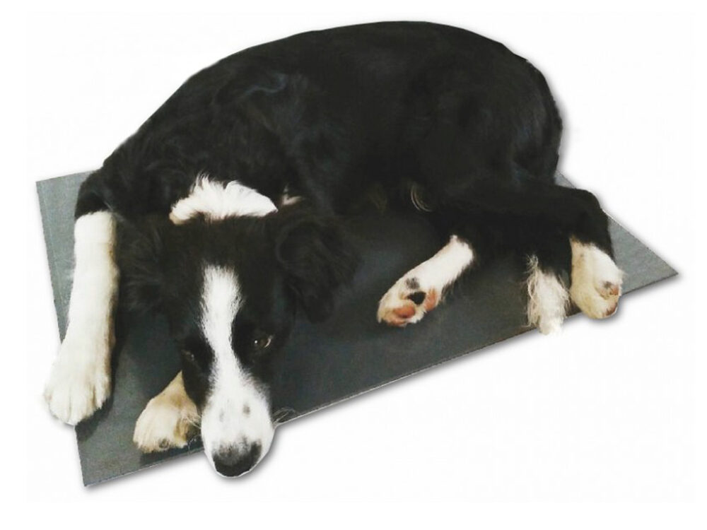 Výhrevná podložka pre psov THERMODOG 3113017 - vykurovacia doska 40X60cm - Image 2