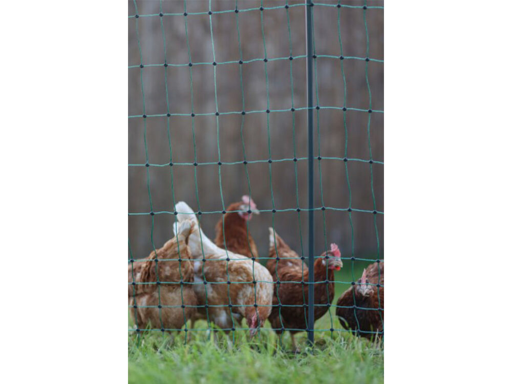 Nevodivá sieť pre hydinu KERBL 292411 PREMIUM, 122 cm x 50 m / 2 hroty - Image 11