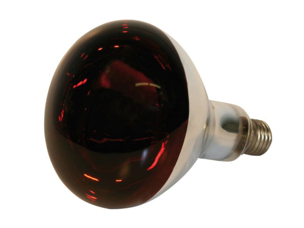 250W - červená