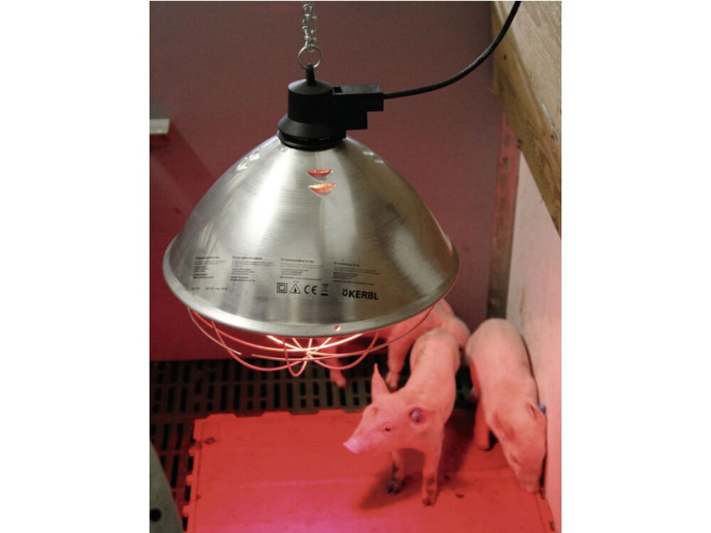 Infralampa KERBL 22729, 250W s hliníkovým tienidlom 35cm a káblom 5m - Image 3