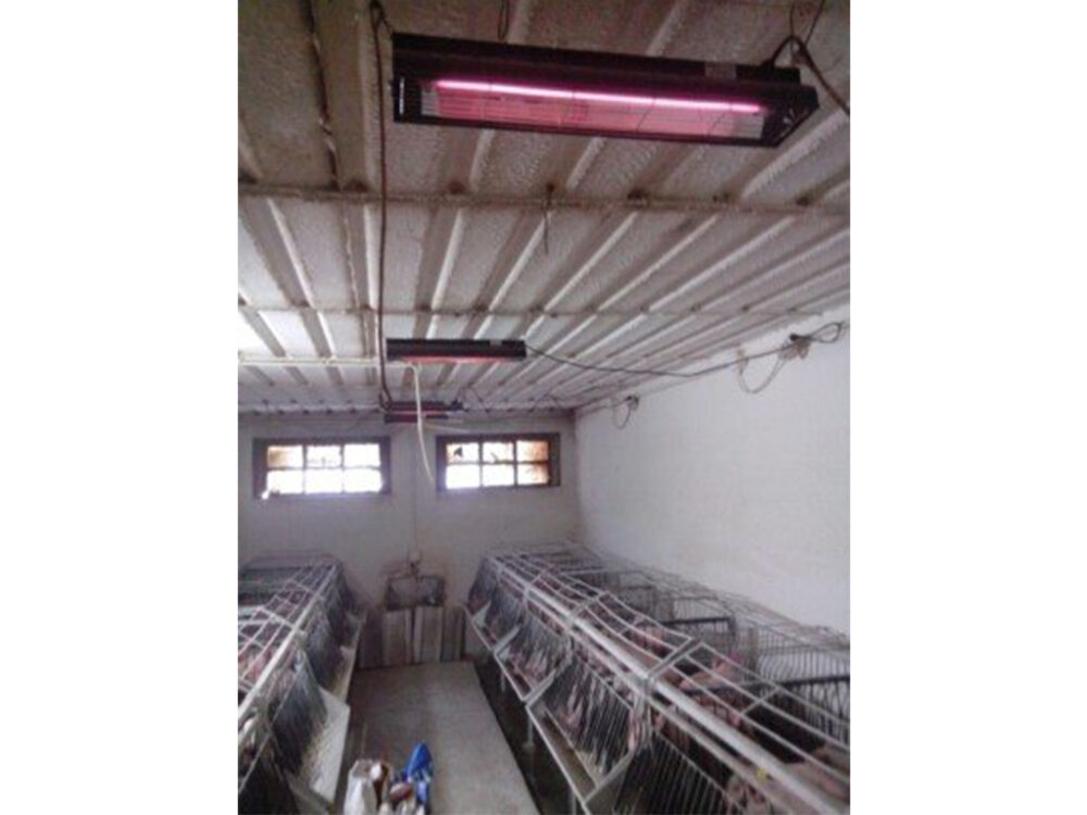 Infražiarič závesný SYNER LCA 1000 W pre farmy, reštaurácie, domácnosti - Image 8