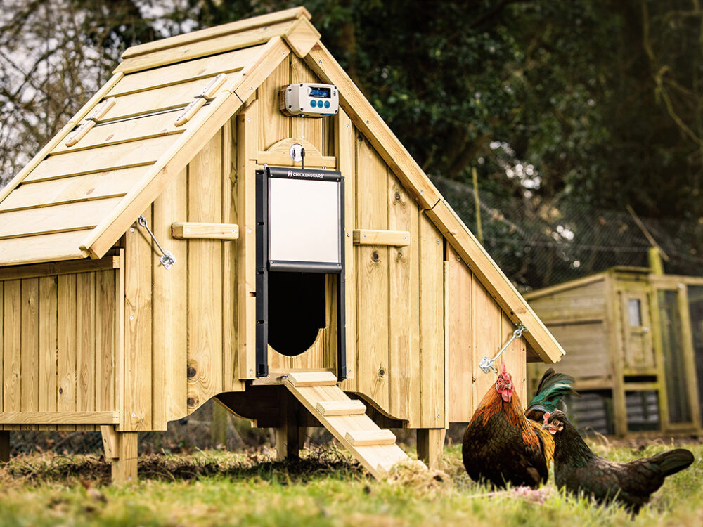 Komplet automatického otvárania a zatvárania kurína CHICKEN GUARD PRO 25x30 - Image 2