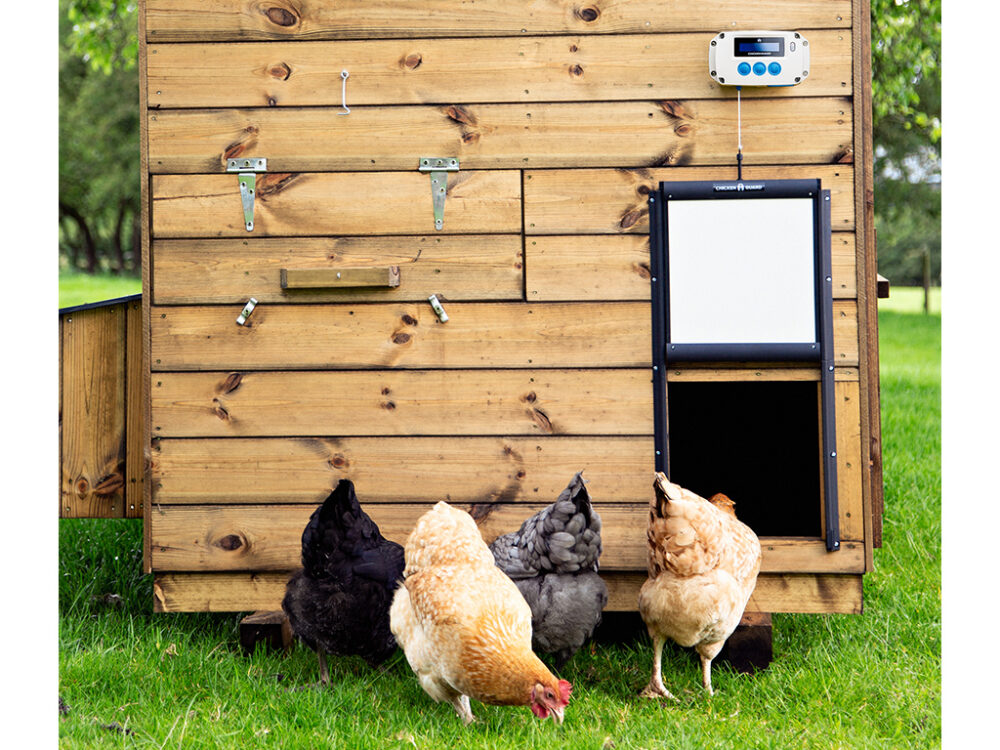 Komplet automatického otvárania a zatvárania kurína CHICKEN GUARD PRO 25x30 - Image 3