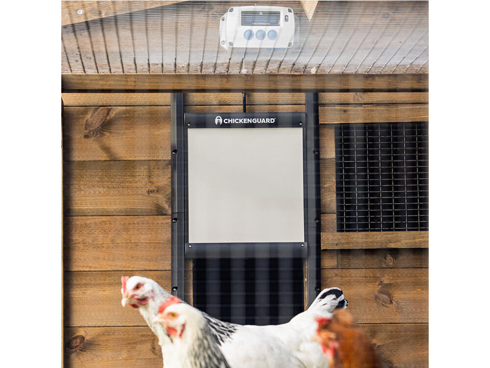 Komplet automatického otvárania a zatvárania kurína CHICKEN GUARD PRO 25x30 - Image 4