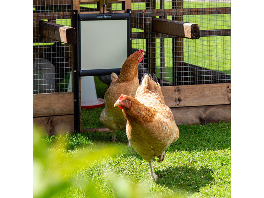 Komplet automatického otvárania a zatvárania kurína CHICKEN GUARD PRO 25x30 - Image 5