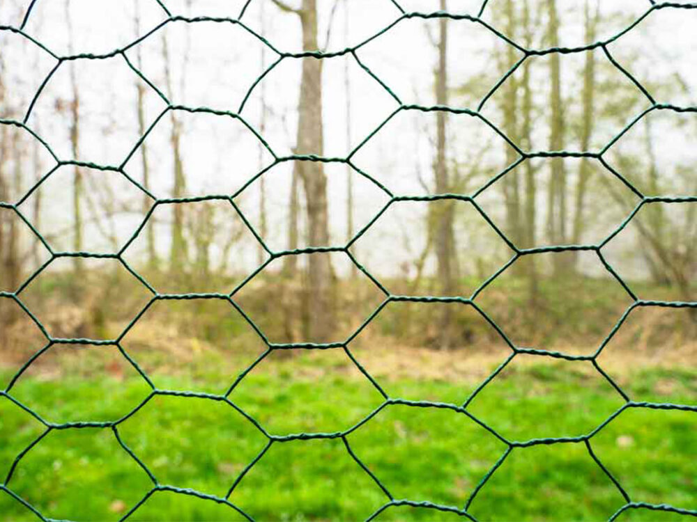 Výbeh pre hydinu ZM 3x2x2,45m - Image 7