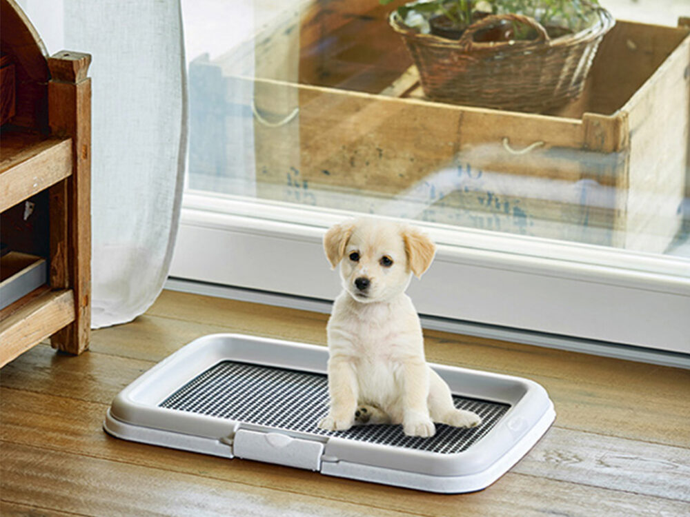 Psia toaleta STEFANPLAST PUPPY, 60x40cm - Image 4