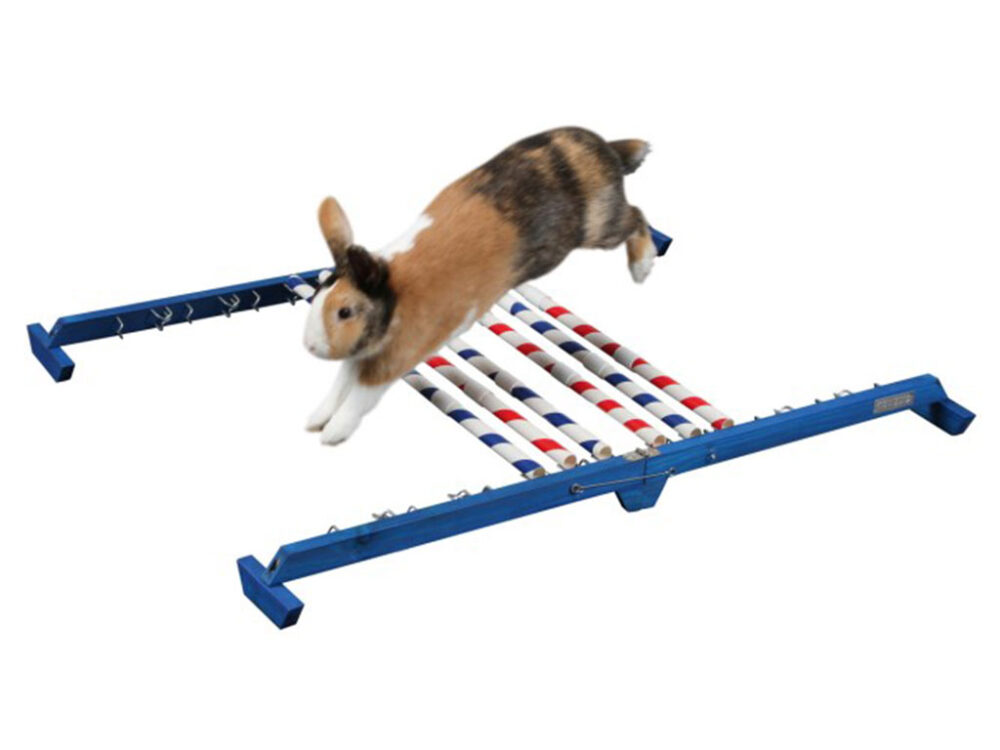 Agility vysoká prekážka pre králiky a iné hlodavce KERBL 82866 KOMBO JUMP, 49x62 cm - Image 3