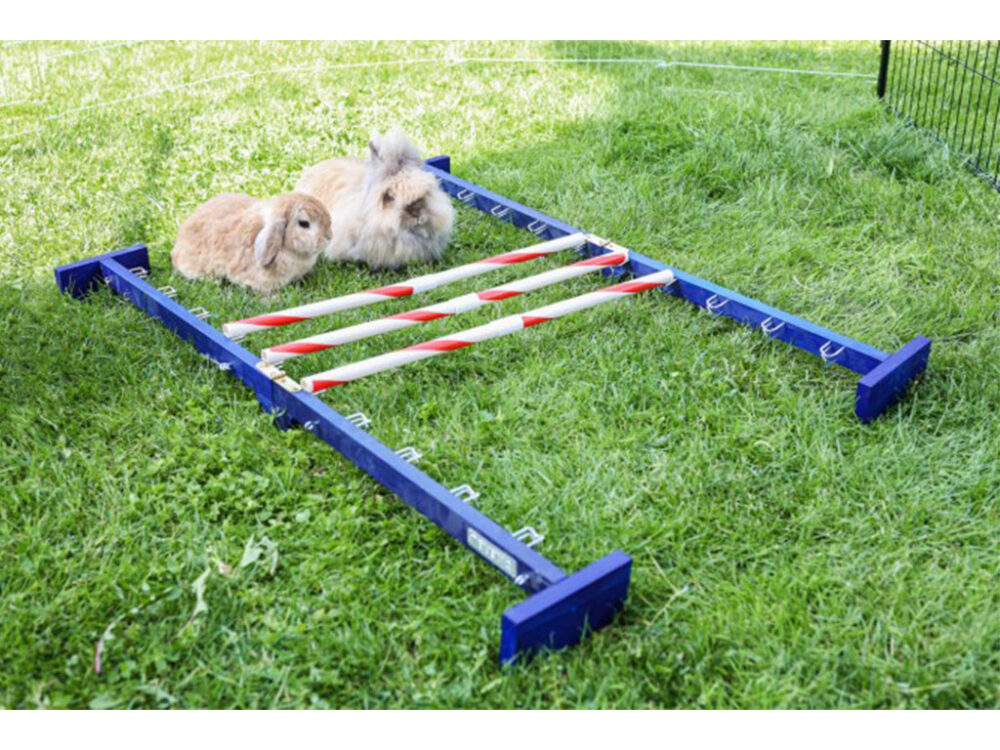 Agility vysoká prekážka pre králiky a iné hlodavce KERBL 82866 KOMBO JUMP, 49x62 cm - Image 5