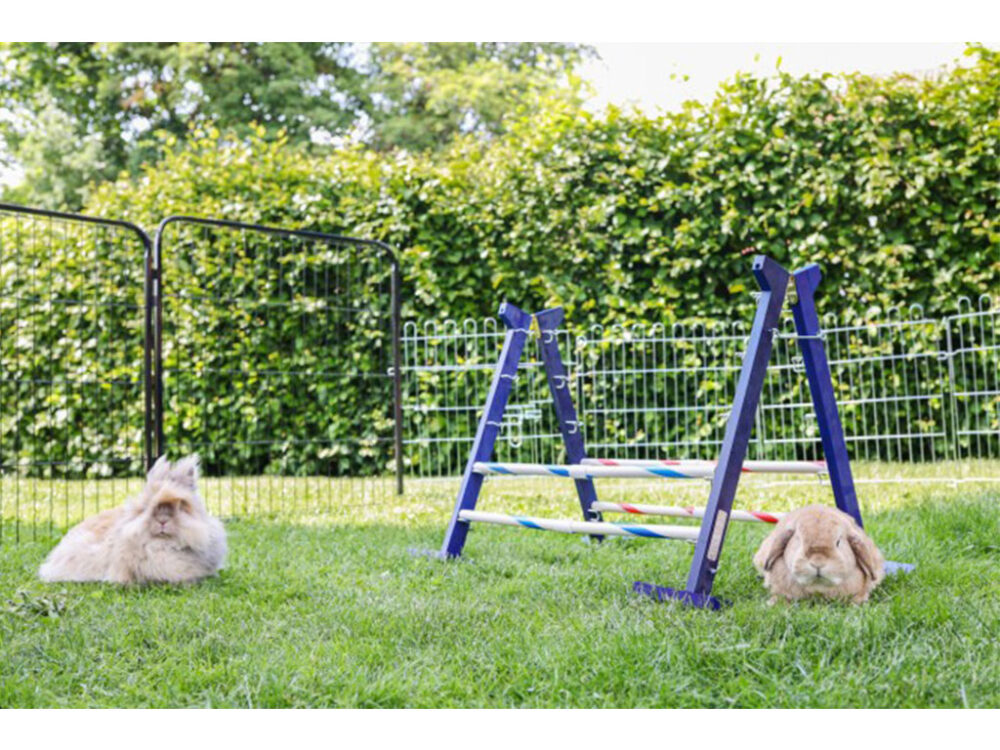 Agility vysoká prekážka pre králiky a iné hlodavce KERBL 82866 KOMBO JUMP, 49x62 cm - Image 6