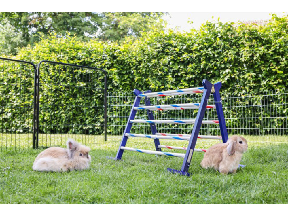 Agility vysoká prekážka pre králiky a iné hlodavce KERBL 82866 KOMBO JUMP, 49x62 cm - Image 7
