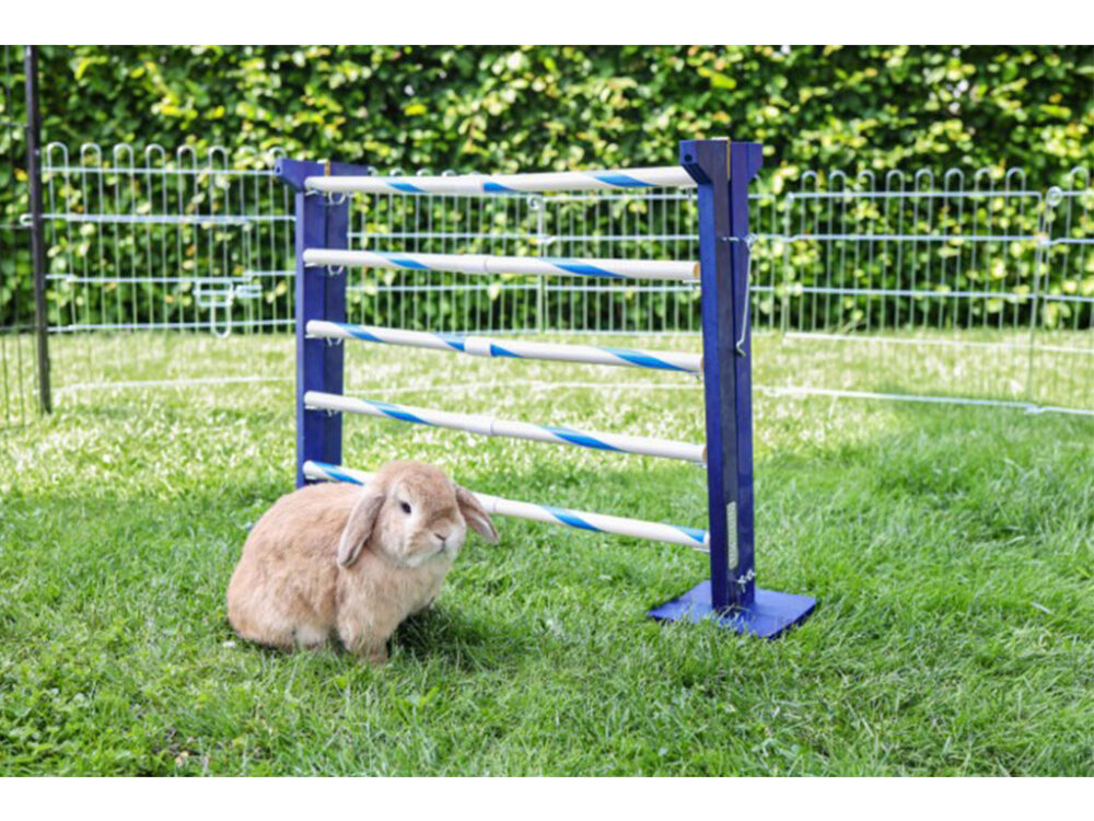Agility vysoká prekážka pre králiky a iné hlodavce KERBL 82866 KOMBO JUMP, 49x62 cm - Image 8