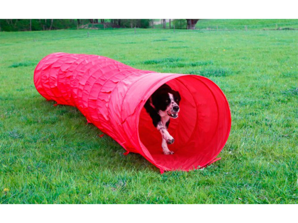 Agility prekážka pre psov s úložnou taškou KERBL 81997 TUNEL, 5m/60cm - Image 6