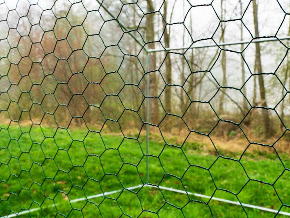 Výbeh pre hydinu ZM 3x6x2,45m - Image 7