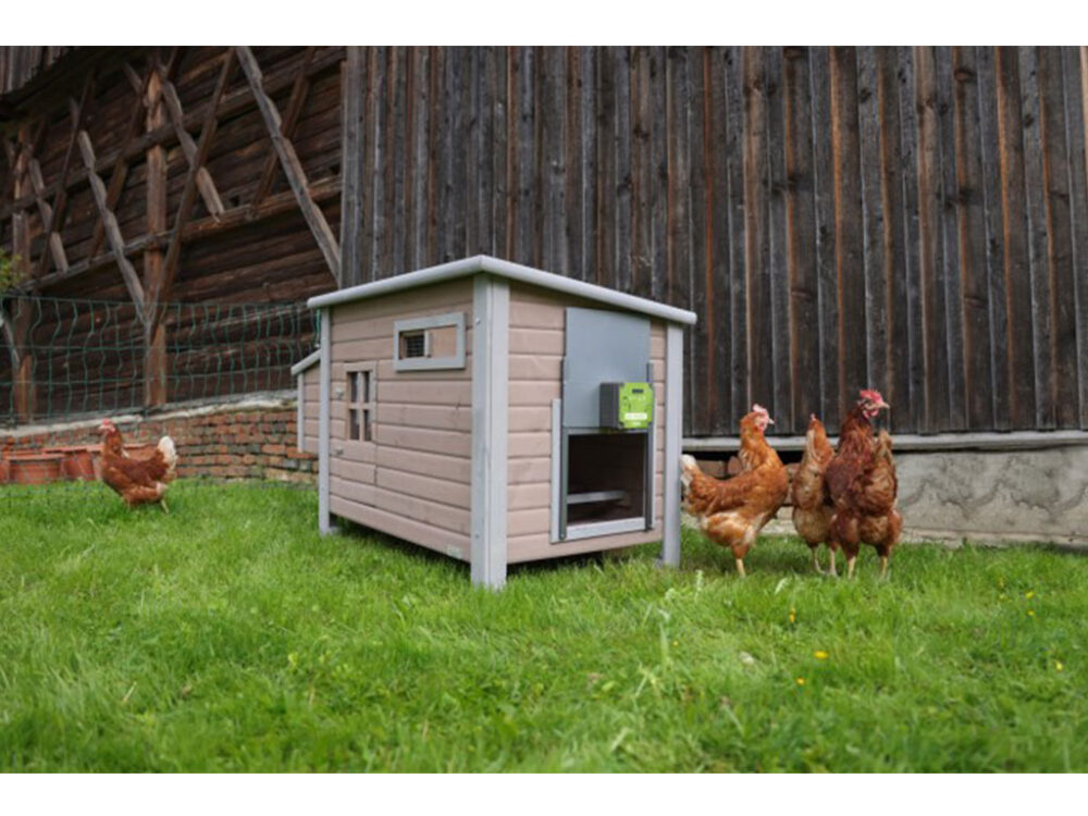 Komplet automatického otvárania a zatvárania kurína KERBL 70590 EASY PROTECT 30x33 R - Image 9