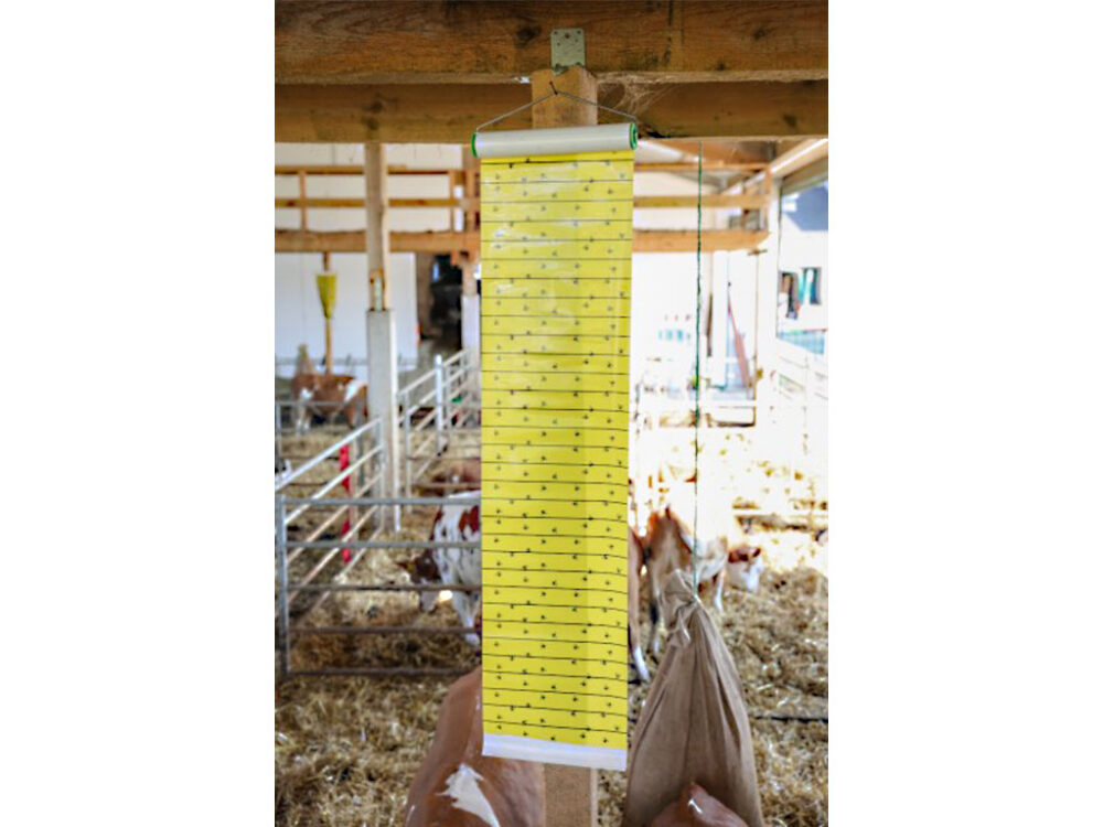 Mucholapka so závesom KERBL 29978, 30cm x 7m - Image 3