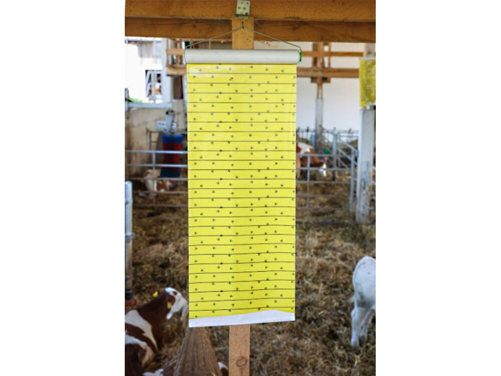 Mucholapka so závesom KERBL 29978, 30cm x 7m - Image 4