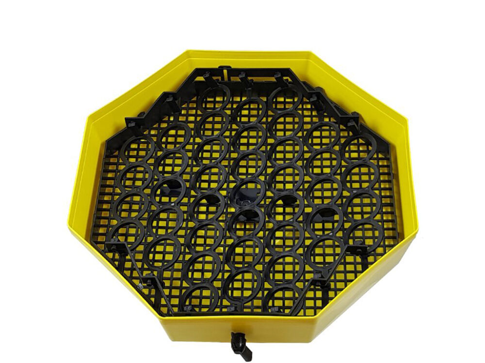 Liaheň na vajcia CLEO 5 DTH - Image 3
