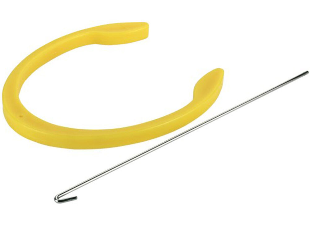 Inseminácia prasiat