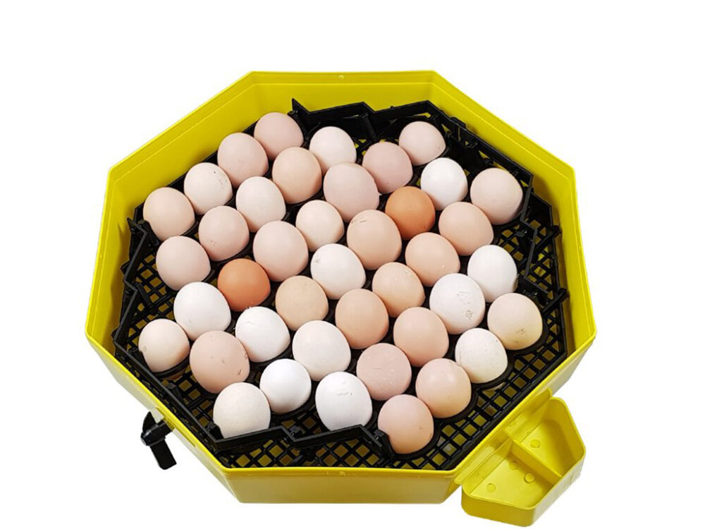 Liaheň na vajcia CLEO 5 DTHW - Image 2