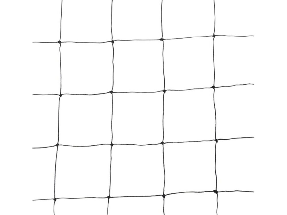 20x10 m