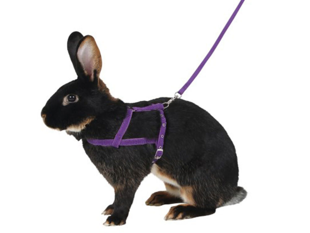 Postroj a vodítko pre králika pre agility KERBL 81760 - veľ. M