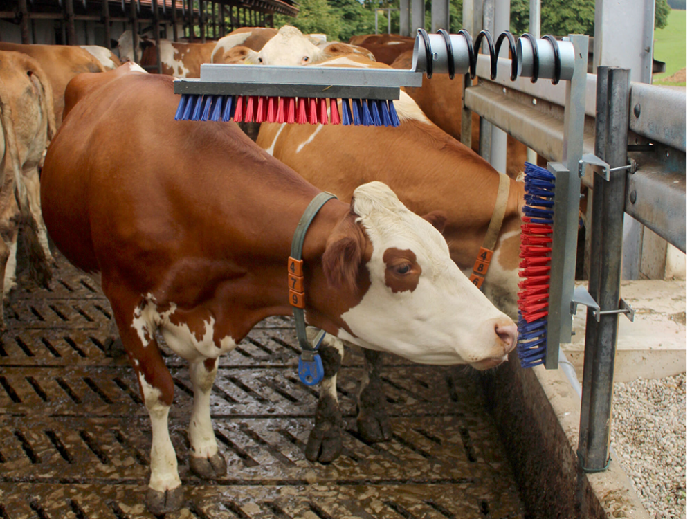 Škrabadlo pružinové KERBL 29325 EUROFARM - Image 2