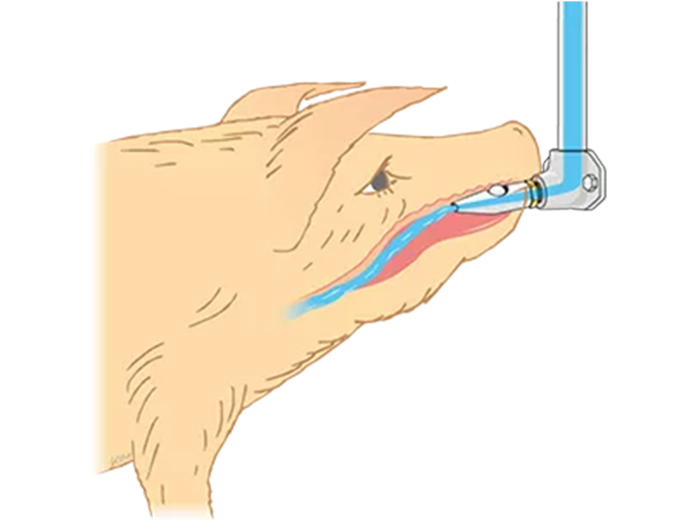 1/2”-1/2”