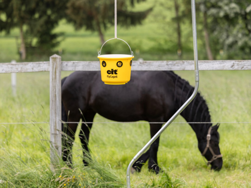 Lapač múch vrátane návnady KERBL CIT FLYCAGE6 - Image 8