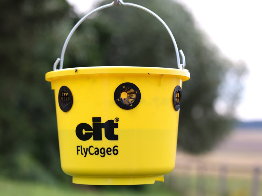 Lapač múch vrátane návnady KERBL CIT FLYCAGE6 - Image 10