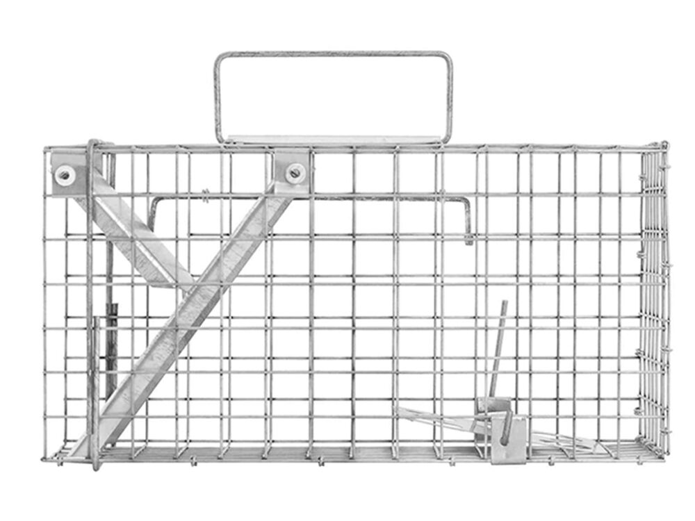 Pasca na potkany a krysy TRAP ZL35x17x20 - Image 2