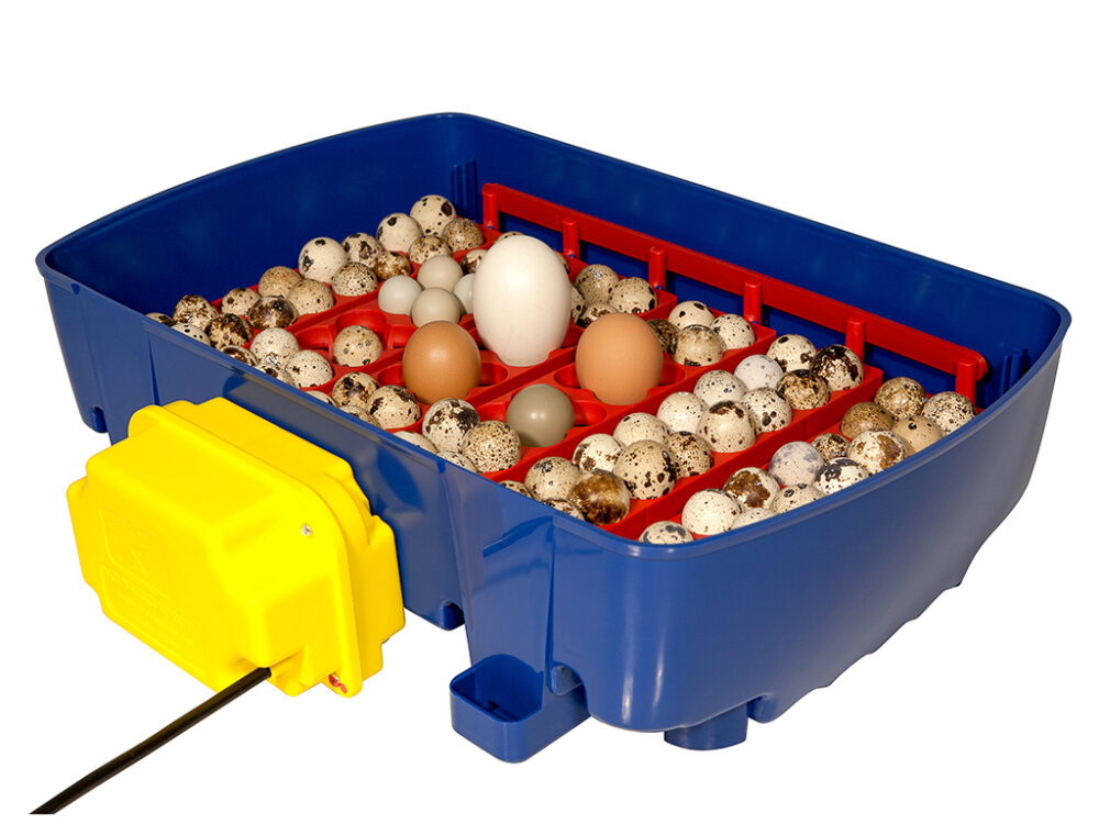 Plne automatická liaheň na vajcia BOROTTO REAL 24 EXPERT - Image 2