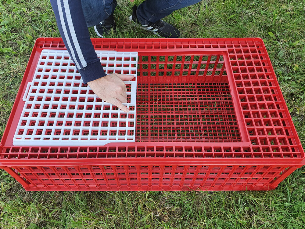 Prepravný box na živú hydinu CRATE MOD A1 - 95,5x57x27,5cm - Image 7
