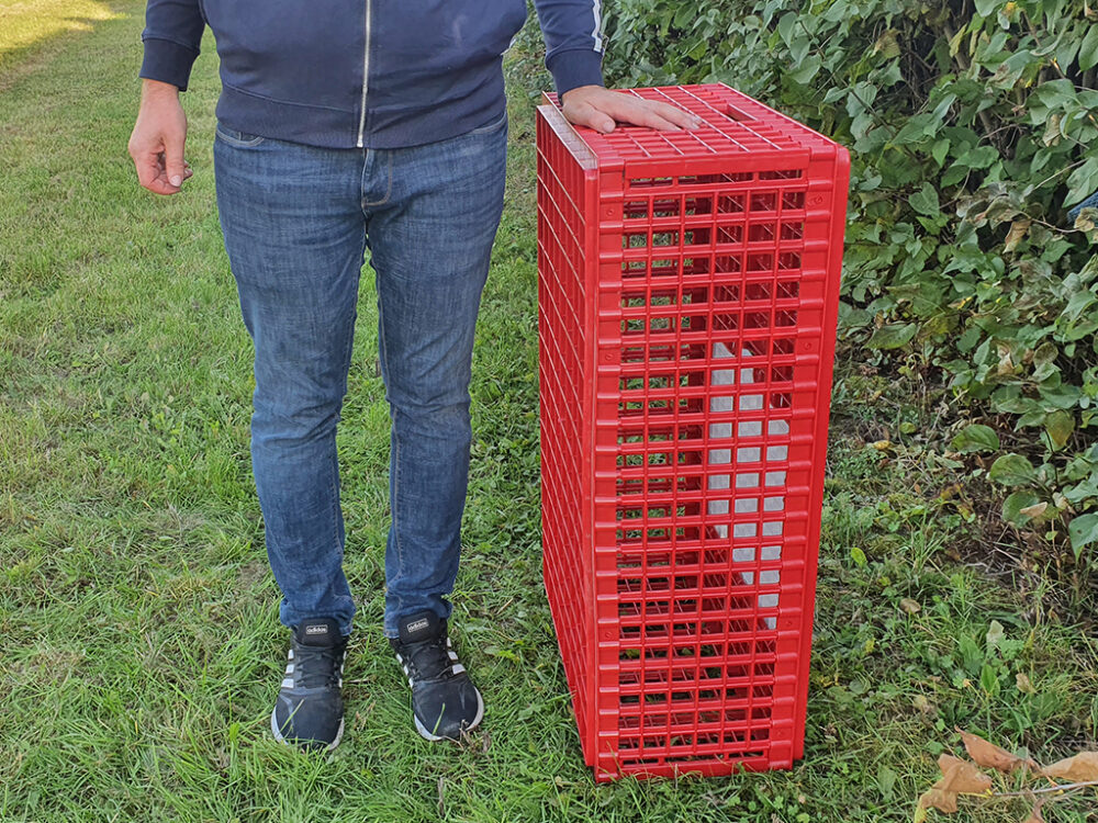 Prepravný box na živú hydinu CRATE MOD B1 - 95,5x57x32,5cm - Image 5
