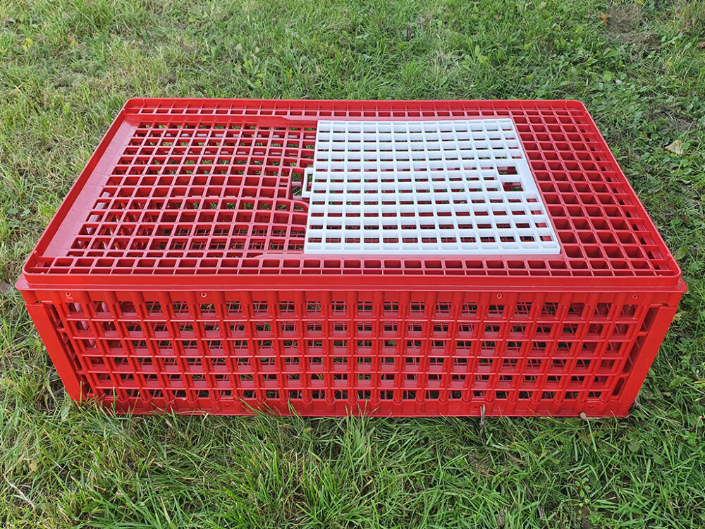 Prepravný box na živú hydinu CRATE MOD B1 - 95,5x57x32,5cm - Image 6