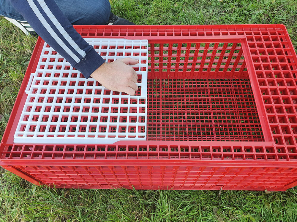 Prepravný box na živú hydinu CRATE MOD B1 - 95,5x57x32,5cm - Image 7