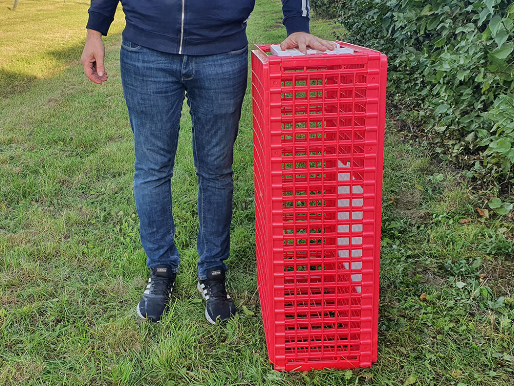 Prepravný box na živú hydinu CRATE MOD B2 - 95,5x57x32,5cm - Image 5