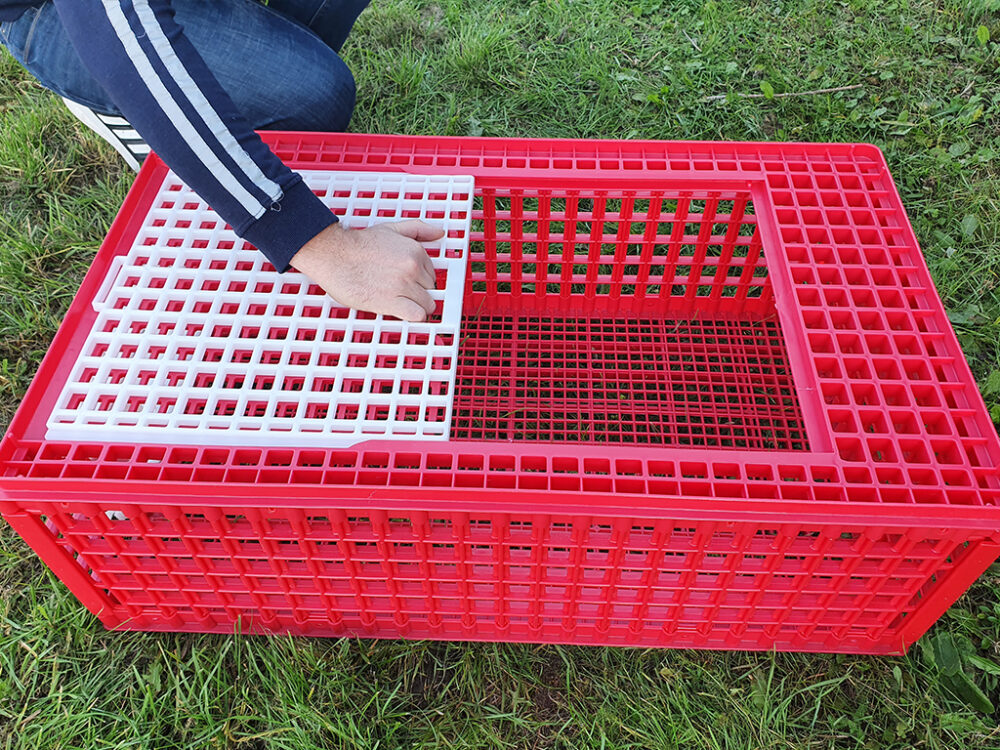 Prepravný box na živú hydinu CRATE MOD B2 - 95,5x57x32,5cm - Image 6
