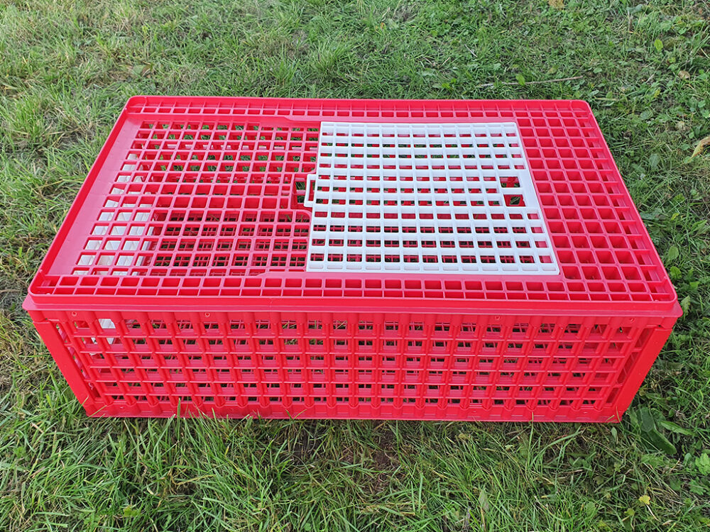 Prepravný box na živú hydinu CRATE MOD B2 - 95,5x57x32,5cm - Image 8