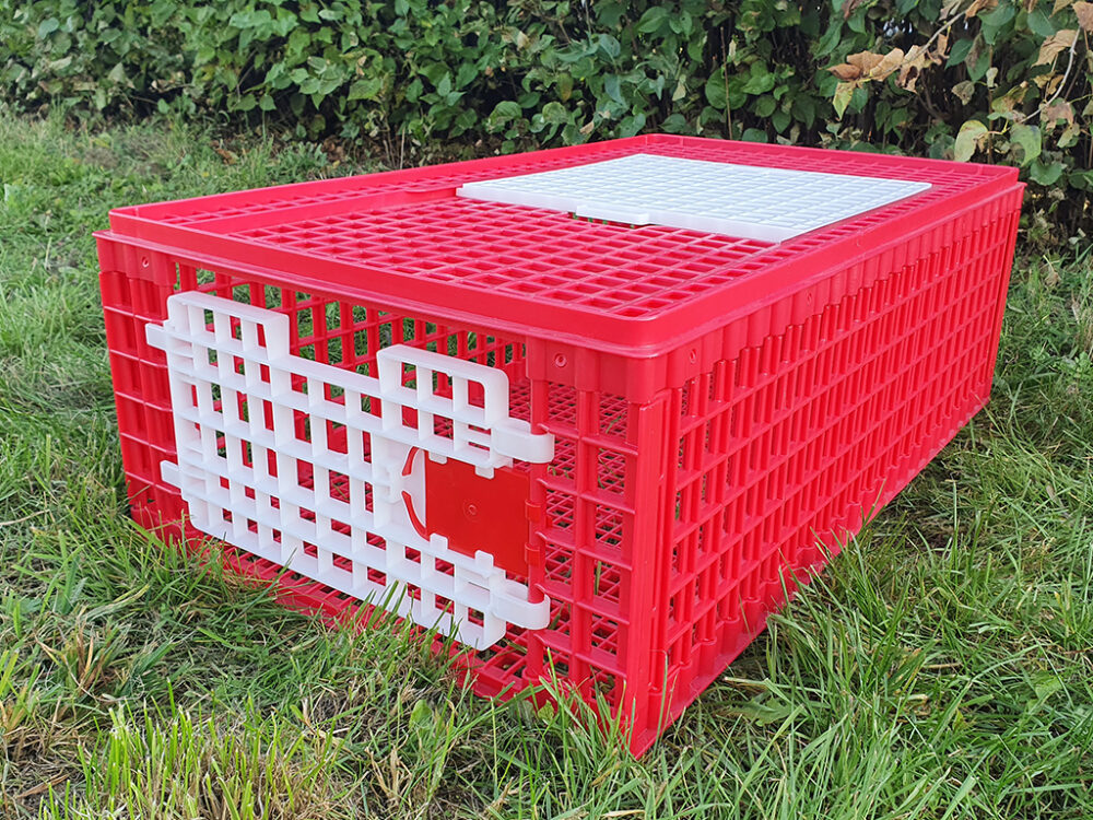 Prepravný box na živú hydinu CRATE MOD B2 - 95,5x57x32,5cm - Image 9